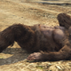 Image for article titled Months Later, Players Finally Solve GTA V's Bigfoot Mystery